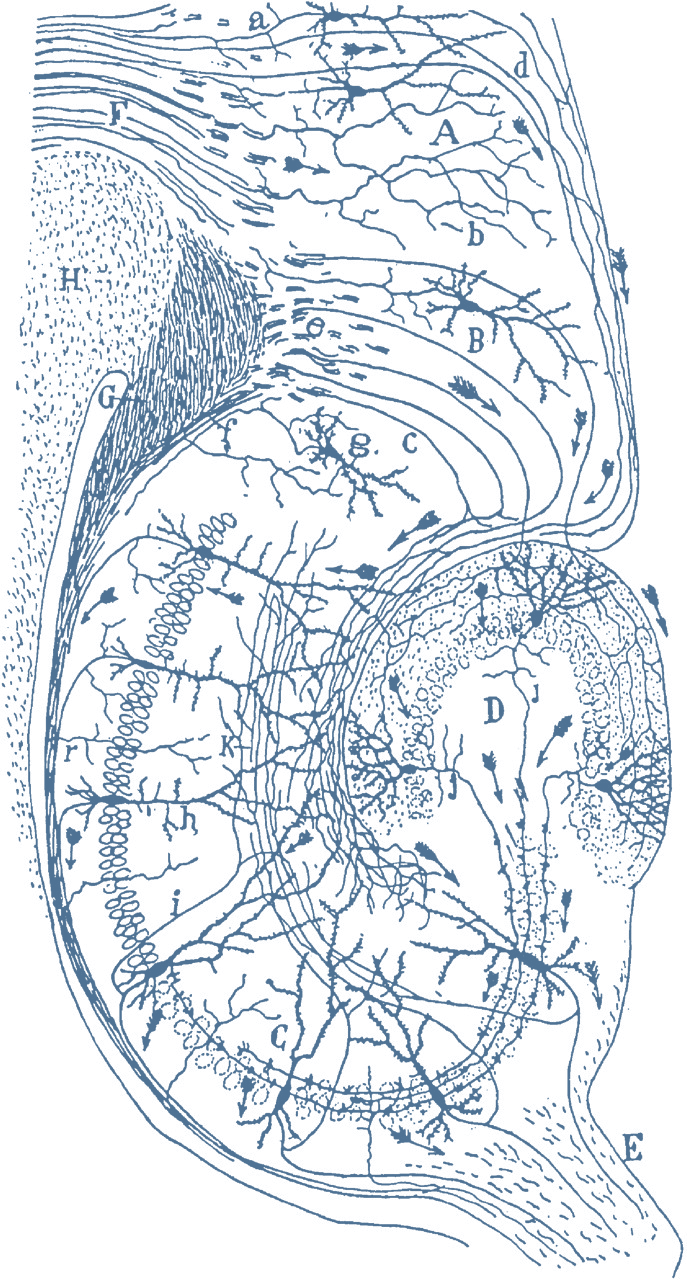 Illustration for Paths, Not Points
