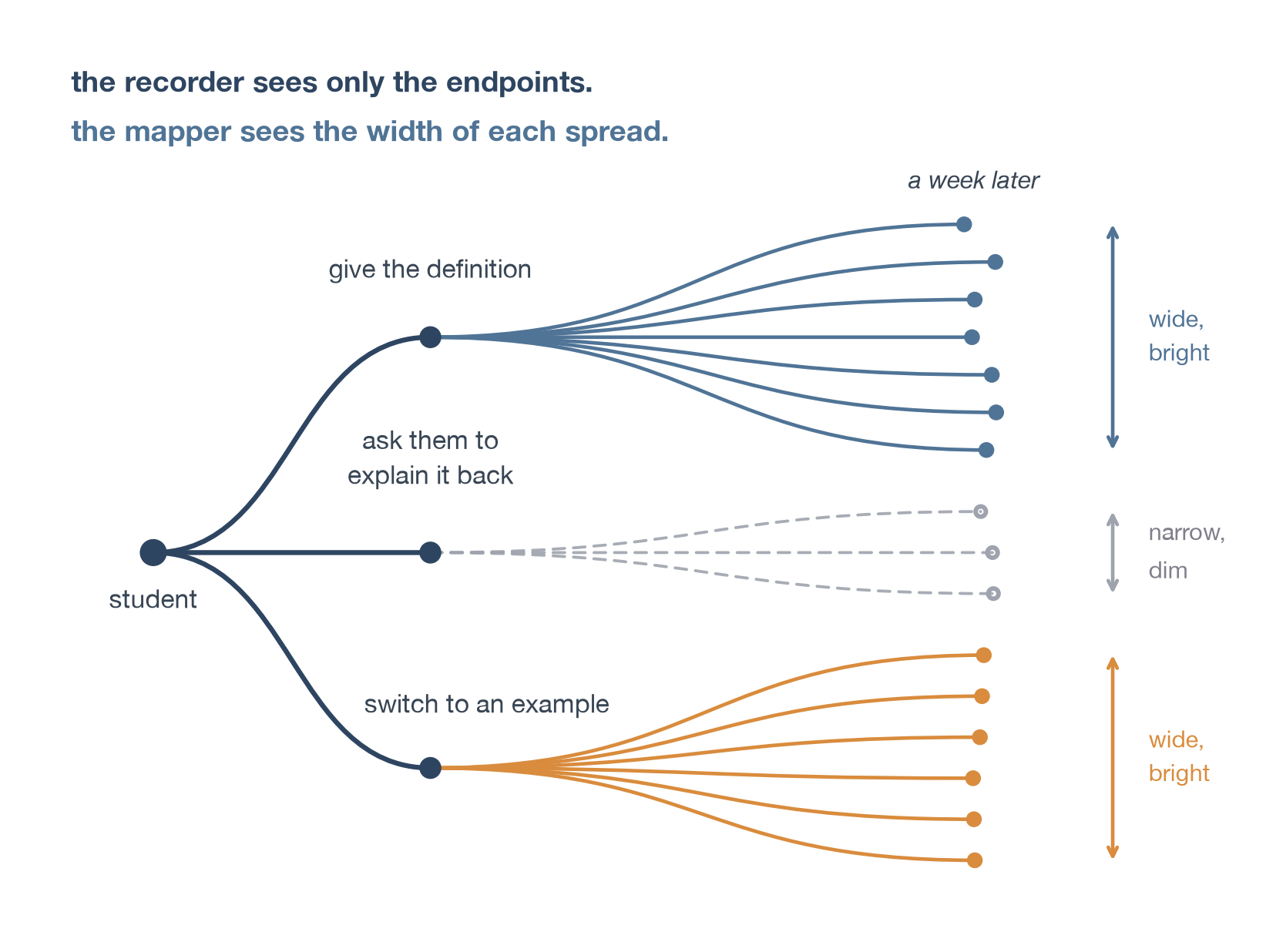 A student node on the left. Three reply branches fan out to the right - definition, explain-back, example - and each opens into a different spread of downstream states a week later. Some spreads are wide and bright, some narrow and dim. The recorder sees only the endpoints; the mapper sees the width of each spread.